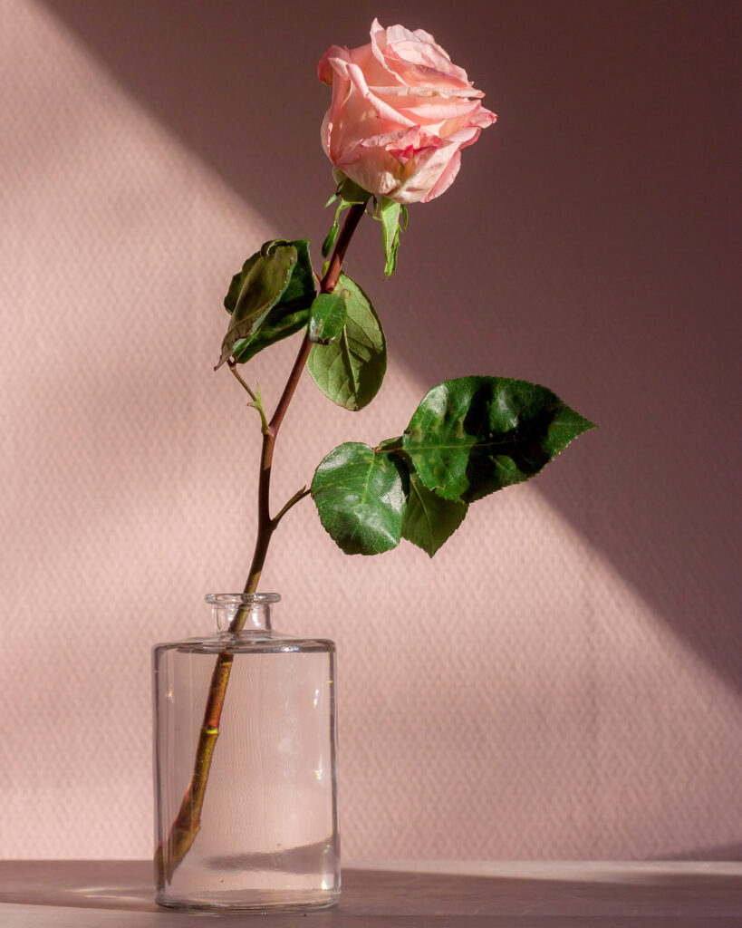 Reinfeld_Paartherapie_Content2